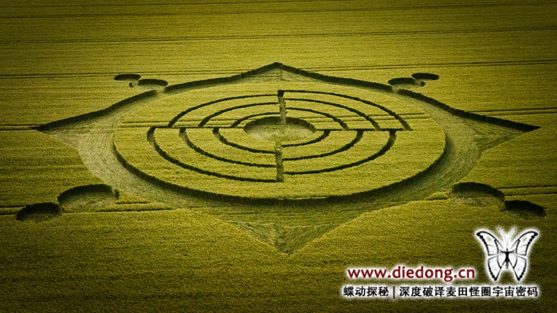 2023年6月11日英国Roundway Down麦田怪圈