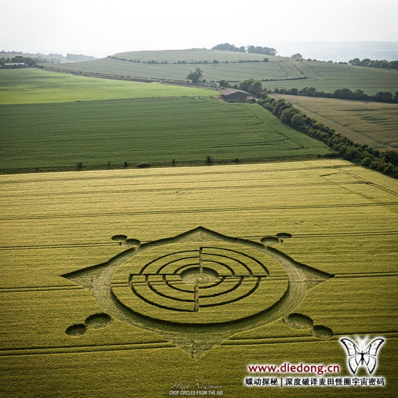2023年6月11日英国Roundway Down麦田怪圈