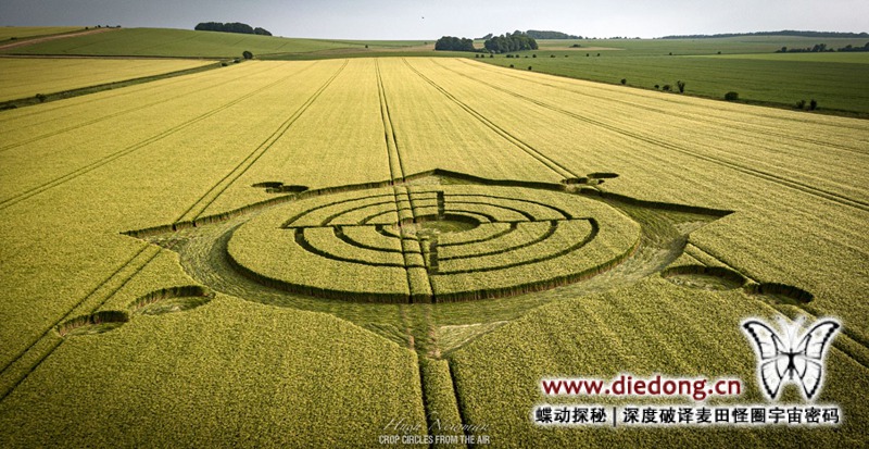 2023年6月11日英国Roundway Down麦田怪圈