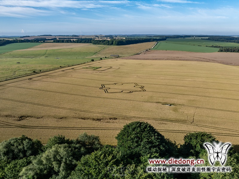 2024年7月14日英国Normanton Down Barrows麦田怪圈
