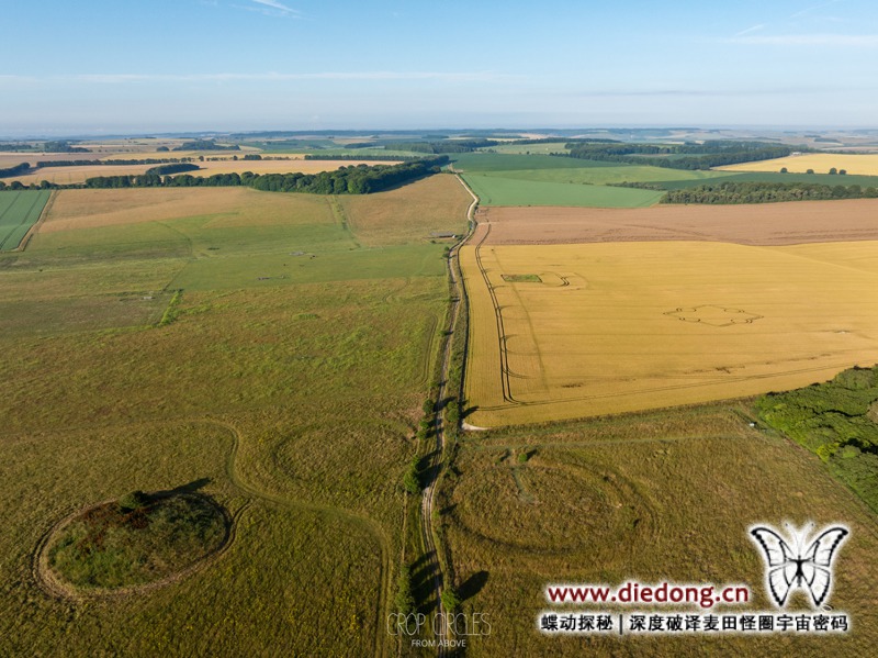 2024年7月14日英国Normanton Down Barrows麦田怪圈