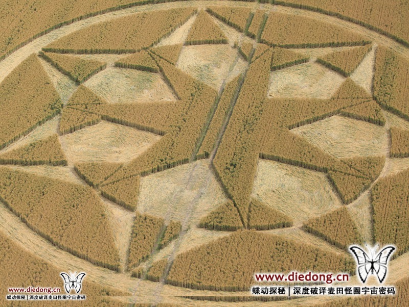 2024年7月23日英国Roman Road麦田怪圈