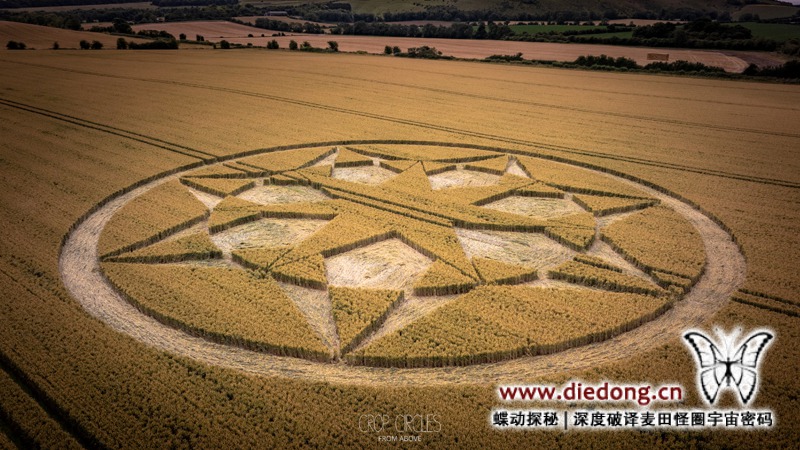2024年7月23日英国Roman Road麦田怪圈