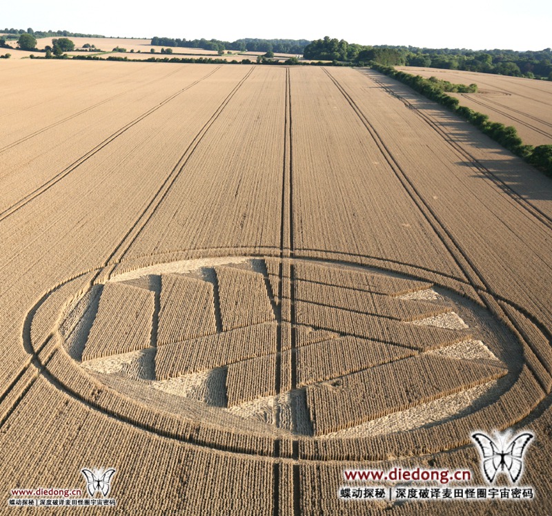 2024年7月28日英国Stoke Charity麦田怪圈