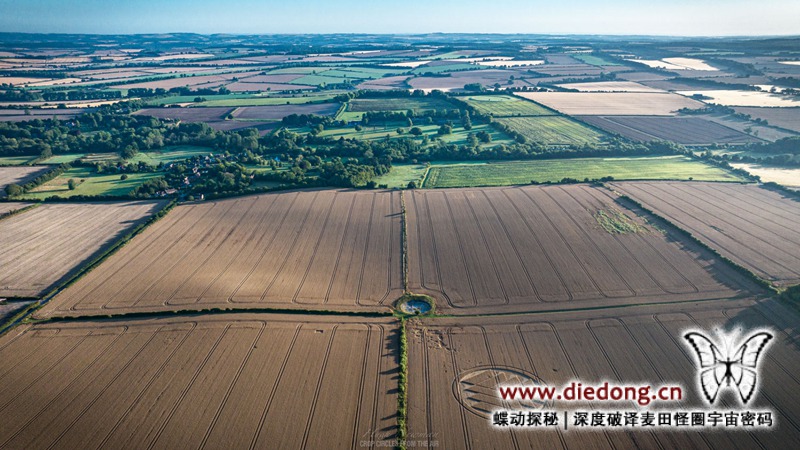 2024年7月28日英国Stoke Charity麦田怪圈