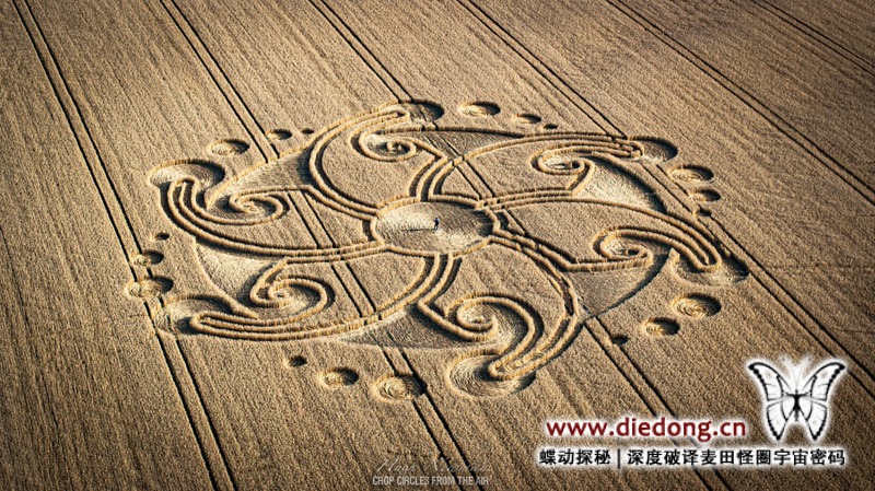 2024年8月29日英国Lion's Gate麦田怪圈