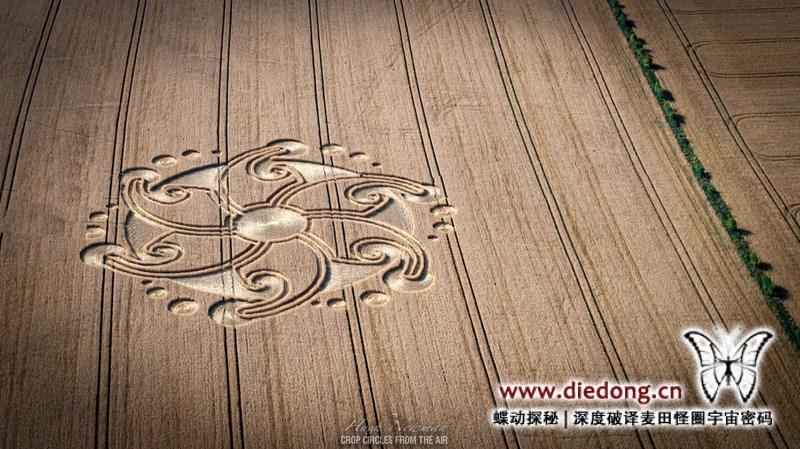 2024年8月29日英国Lion's Gate麦田怪圈