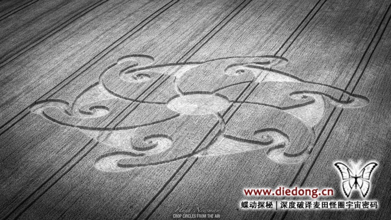 2024年8月29日英国Lion's Gate麦田怪圈