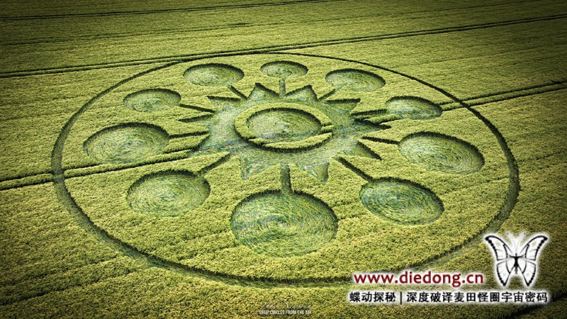 2025年6月8日英国Falkner's Circle麦田怪圈