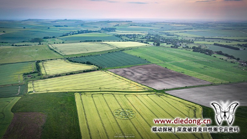 2025年6月8日英国Falkner's Circle麦田怪圈