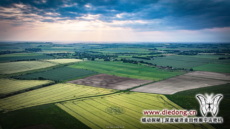 2025年6月8日英国Falkner's Circle麦田怪圈