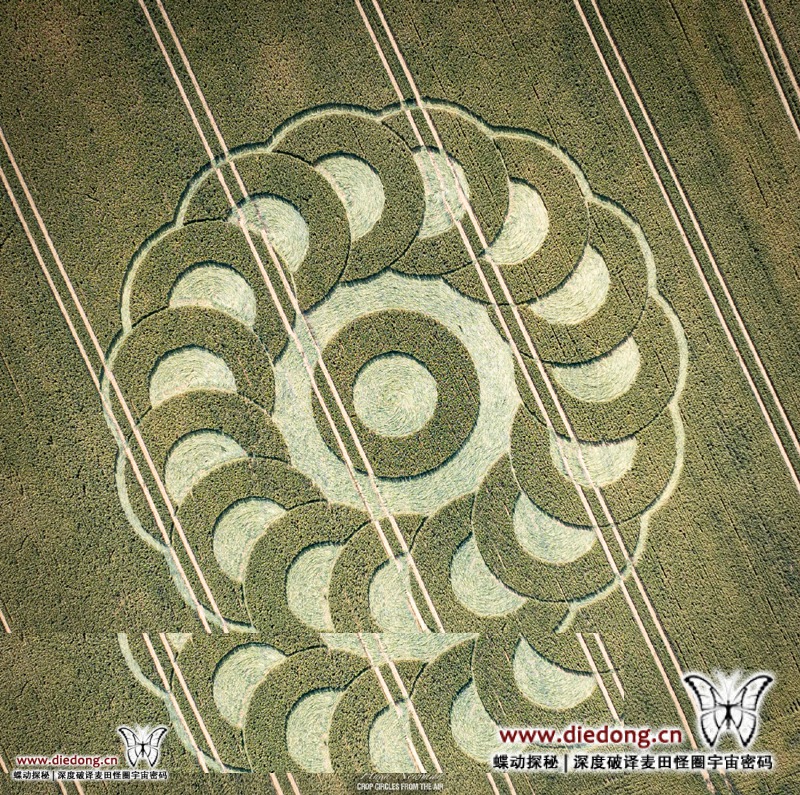 2025年6月28日英国Ware Farm Manor麦田怪圈