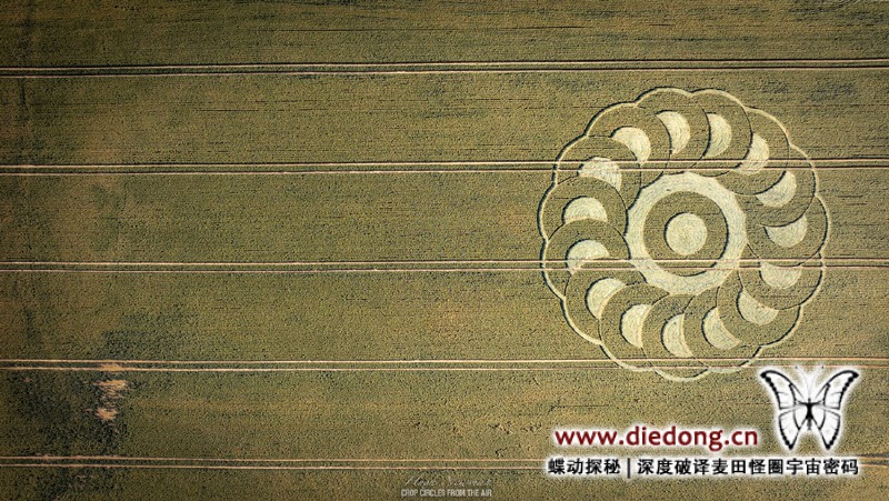 2025年6月28日英国Ware Farm Manor麦田怪圈