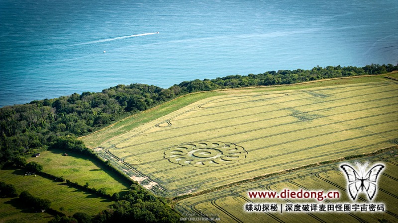 2025年6月28日英国Ware Farm Manor麦田怪圈