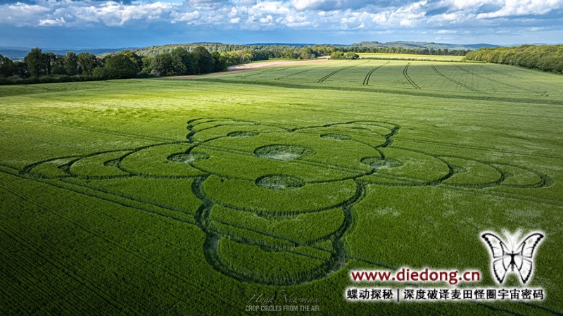2026年5月8日英国Jack's Castle Plantation麦田怪圈