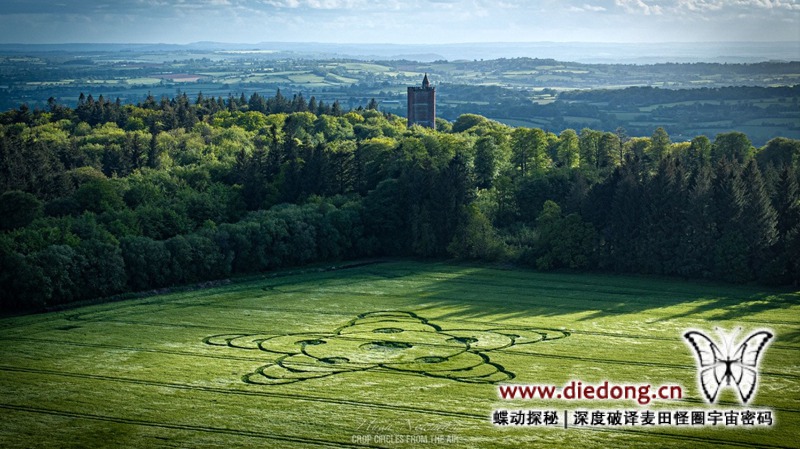 2026年5月8日英国Jack's Castle Plantation麦田怪圈