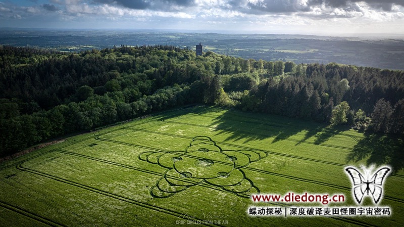 2026年5月8日英国Jack's Castle Plantation麦田怪圈
