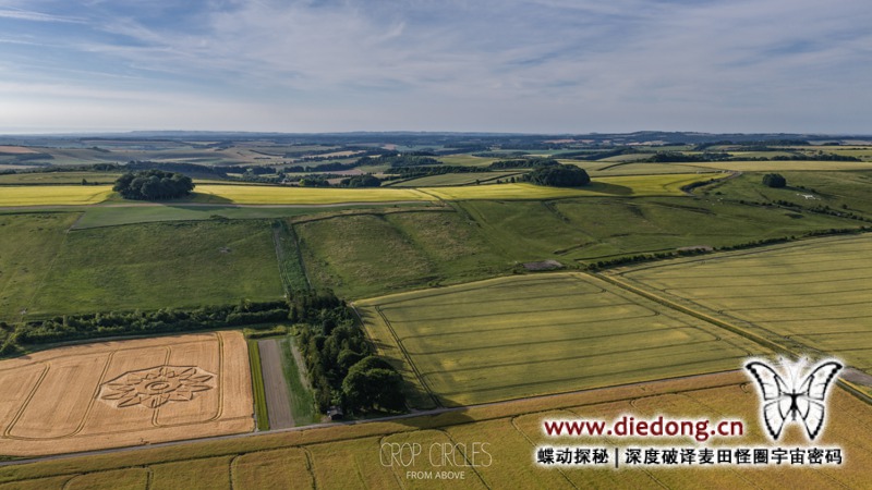 2026年6月29日英国Walker's Plantation麦田怪圈