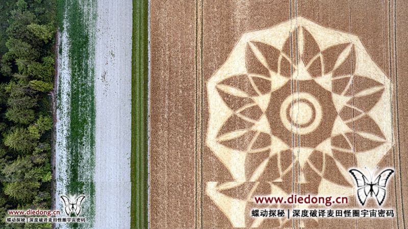 2026年6月29日英国Walker's Plantation麦田怪圈