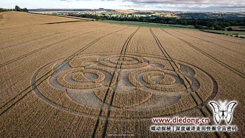 2026年7月4日英国Etchilhampton Hill麦田怪圈