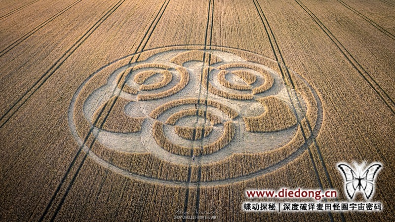 2026年7月4日英国Etchilhampton Hill麦田怪圈