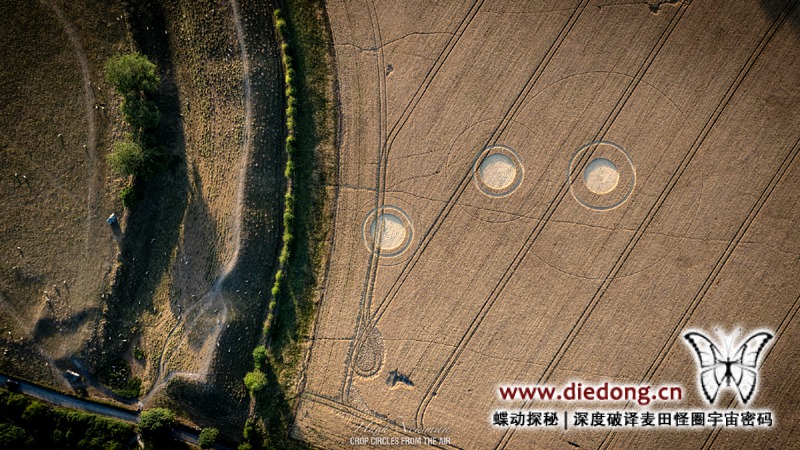 2026年7月14日英国Stone Circle麦田怪圈