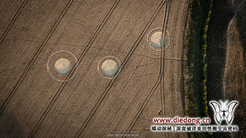 2026年7月14日英国Stone Circle麦田怪圈