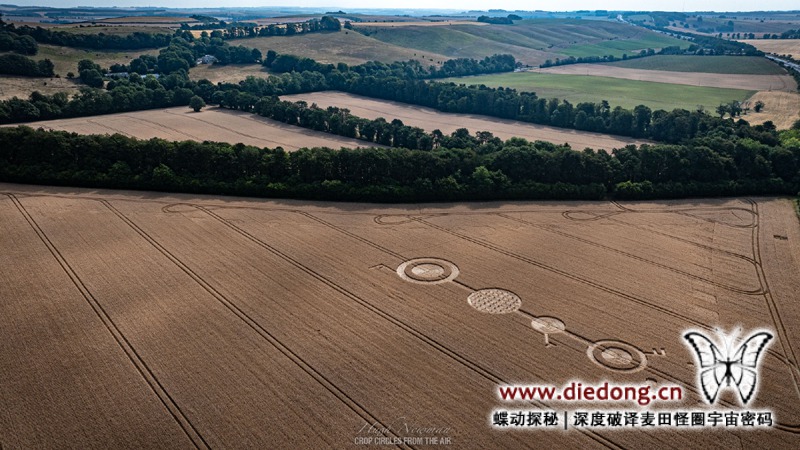 2026年7月21日英国Wanborough Plain麦田怪圈