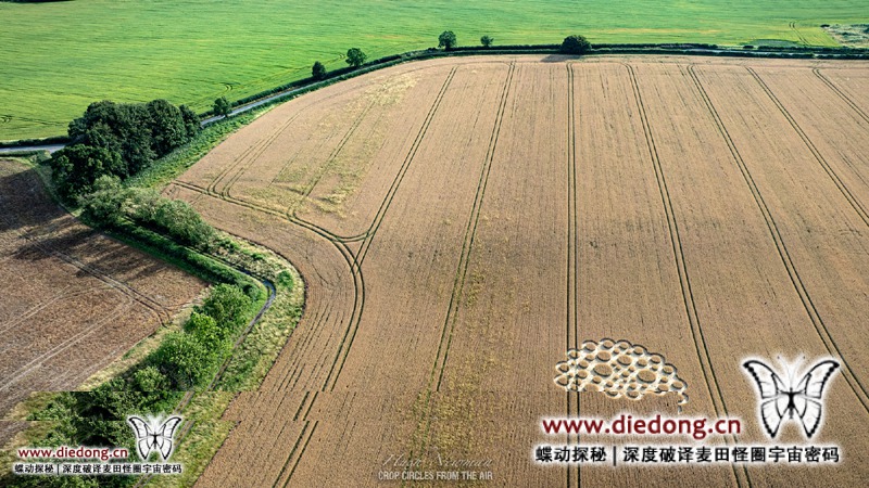 2026年7月5日英国Zeals Knoll麦田怪圈